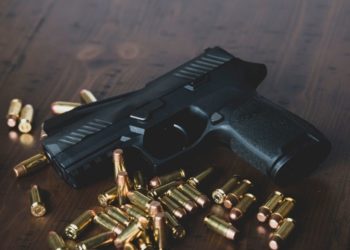 Senado voltará a discutir regras sobre armas em 2022