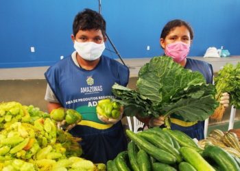 Feiras de Produtos Regionais voltam a funcionar; veja o calendário