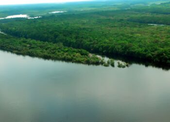 EUA estão empenhados em arrecadar recursos “vultosos” para Amazônia