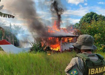 STF rejeita lei de Roraima que proíbe destruição de bens apreendidos
