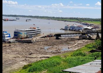 Seca afeta 32 municípios do Amazonas, diz Defesa Civil