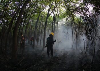 Após registros de 2 mil incêndios no AM, PF abre investigação sobre queimadas