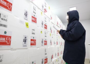 Vacinação contra Influenza será antecipada no Amazonas