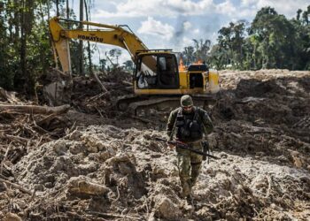 Projeto quer proibir destruição de bens apreendidos em operações ambientais
