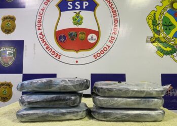 Casal é preso em Coari com cocaína avaliada em R$ 480 mil