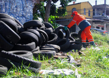 Semulsp recolhe 52 mil pneus em ‘Dia D’ contra dengue
