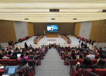 CNJ pede explicações sobre norma que proíbe uso de cropped no STJ
