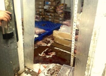 MP-AM abre investigação contra DB por venda de carne estragada