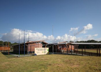 Silves terá ‘Escola da Floresta’ anuncia governador