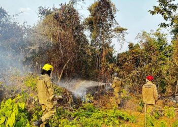 Em Iranduba, bombeiros combatem mais de 300 focos de incêndio em 24 horas