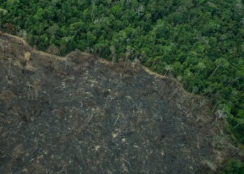 Greenpeace: imagens mostram novas áreas de garimpo em TIs na Amazônia