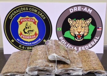 PF prende homem com 2 kg de drogas no aeroporto de Manaus