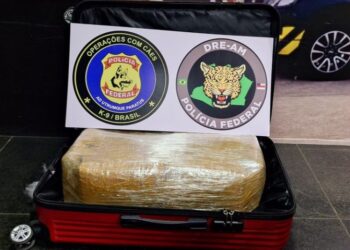 PF apreende 15kg de drogas no aeroporto de Manaus