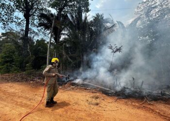 Em setembro, bombeiros combateram 6,6 mil focos de incêndio no AM