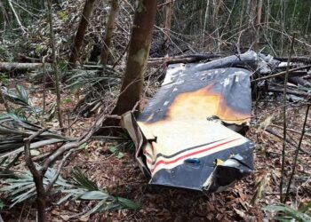 FAB abate avião carregado de drogas vindo da Venezuela