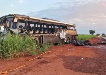 Acidente com ônibus universitário e carreta deixa 12 mortos em SP