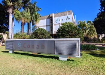 Inscrições para concurso público da Conab estão abertas até 15 de maio