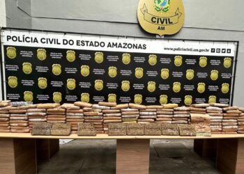 PC-AM apreende 150 kg de maconha escondidos em casa na zona leste