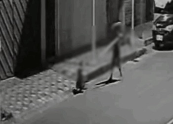 Homem que matou morador de rua a pauladas é preso em Manaus